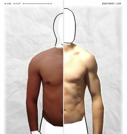 Torso Comparison