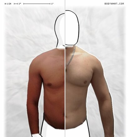 Torso Comparison