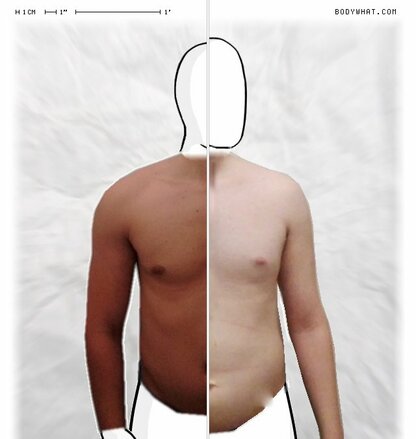 Torso Comparison