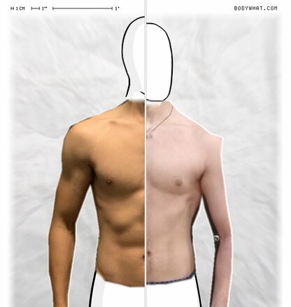 Torso Comparison