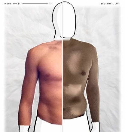 Torso Comparison