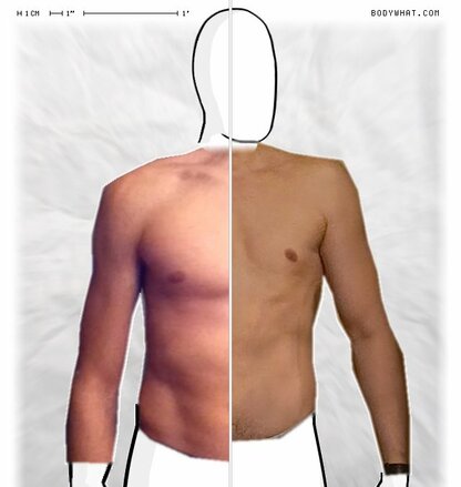 Torso Comparison