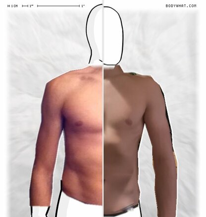 Torso Comparison