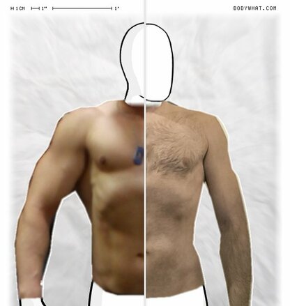 Torso Comparison