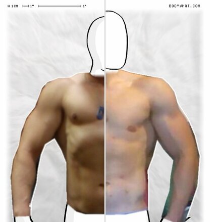 Torso Comparison