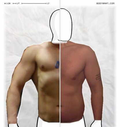 Torso Comparison