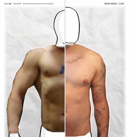 Torso Comparison