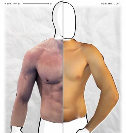 Torso Comparison