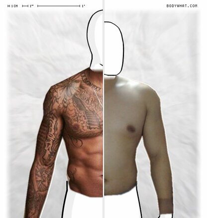 Torso Comparison