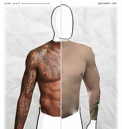 Torso Comparison