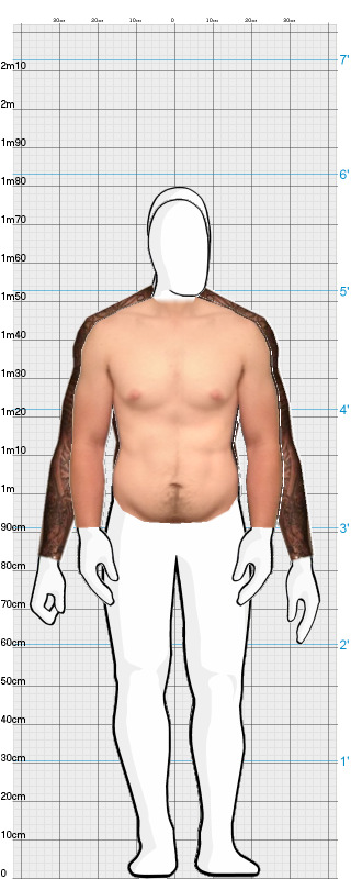 Full Size Comparison