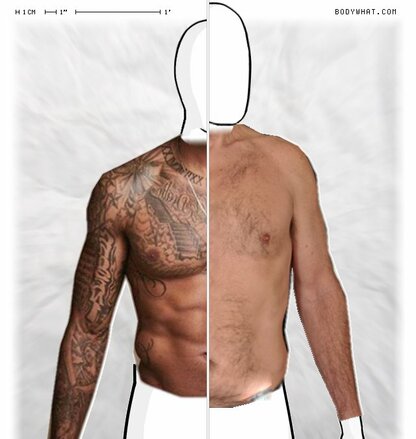 Torso Comparison