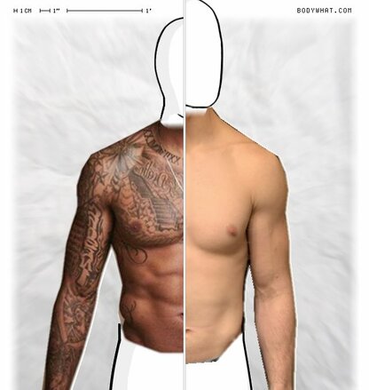 Torso Comparison