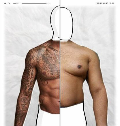 Torso Comparison