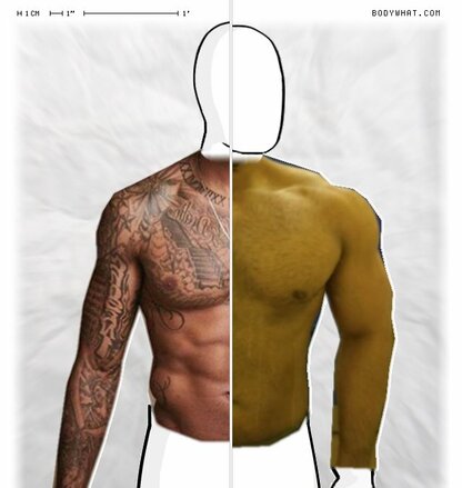 Torso Comparison