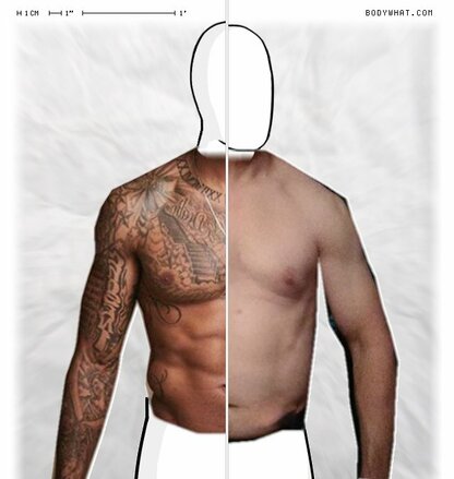 Torso Comparison