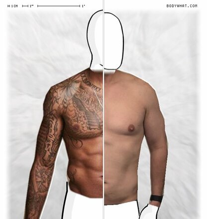 Torso Comparison