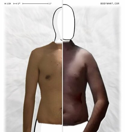 Torso Comparison