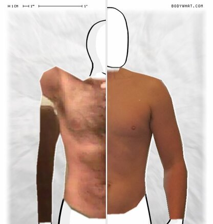 Torso Comparison