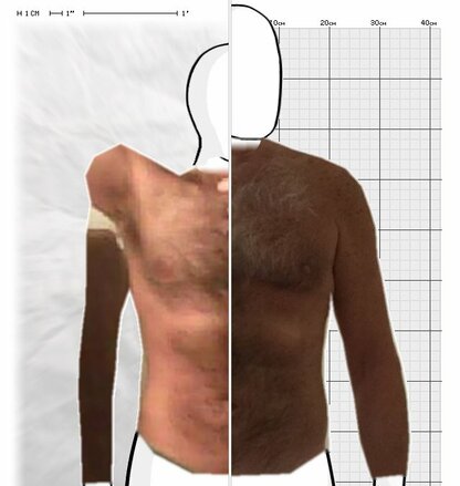 Torso Comparison