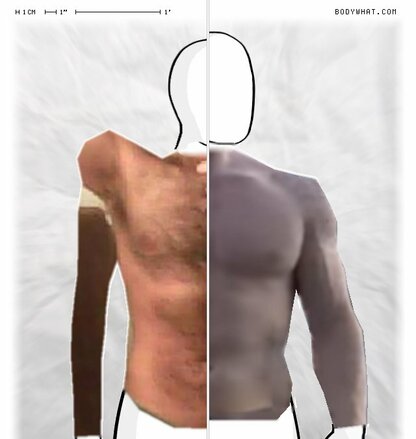 Torso Comparison