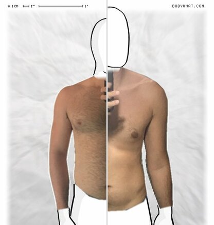 Torso Comparison