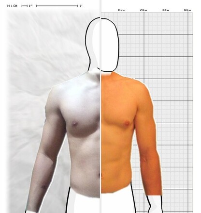 Torso Comparison