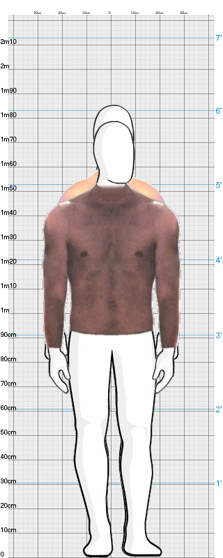 Full Size Comparison