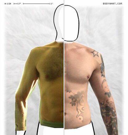 Torso Comparison