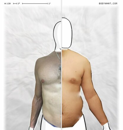 Torso Comparison