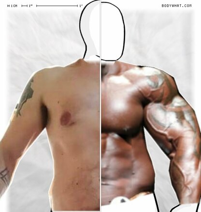 Torso Comparison