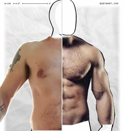 Torso Comparison