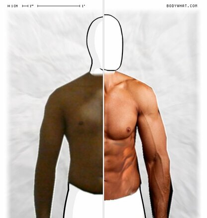 Torso Comparison