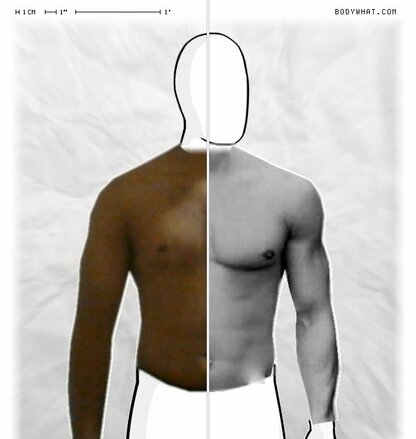 Torso Comparison