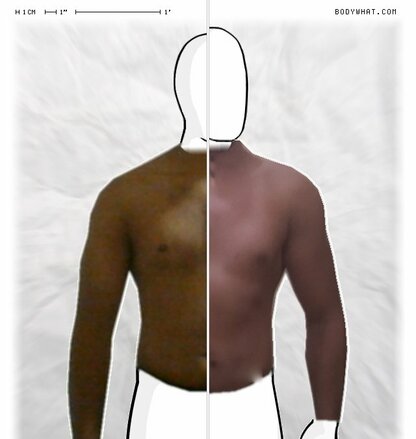 Torso Comparison