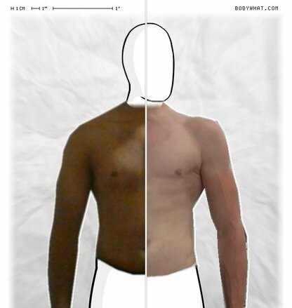 Torso Comparison