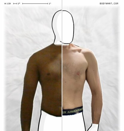 Torso Comparison