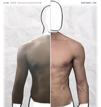 Torso Comparison