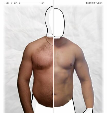 Torso Comparison