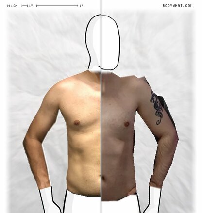 Torso Comparison