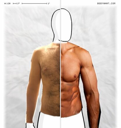 Torso Comparison