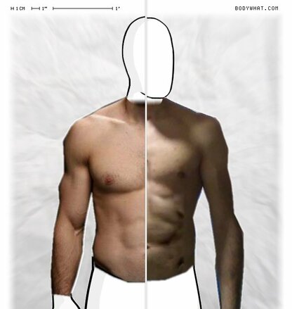 Torso Comparison