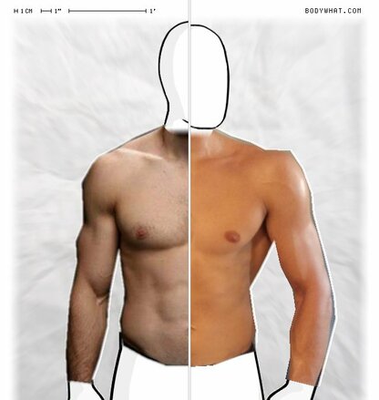 Torso Comparison