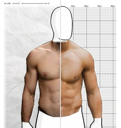 Torso Comparison