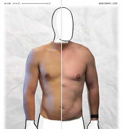 Torso Comparison