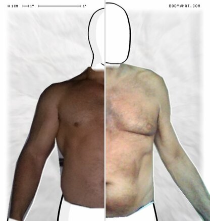 Torso Comparison