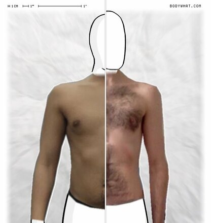 Torso Comparison