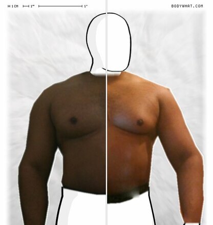 Torso Comparison