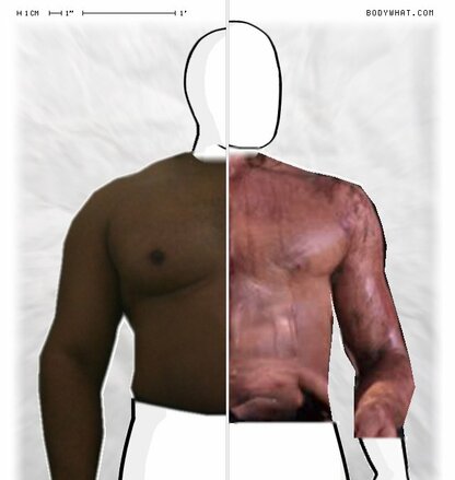 Torso Comparison