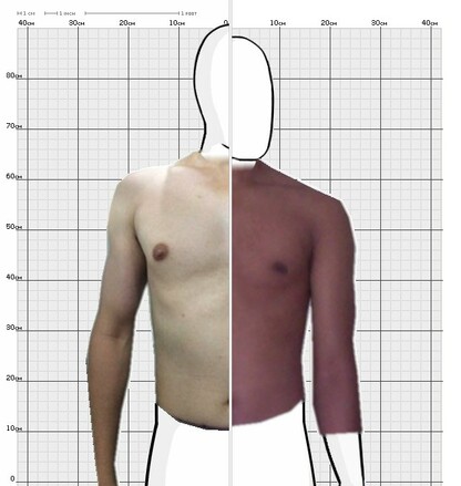 Torso Comparison